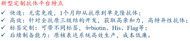 表观遗传学抗体系列